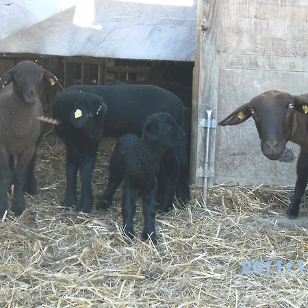 Farm stay Biobauernhof Drei Finken *