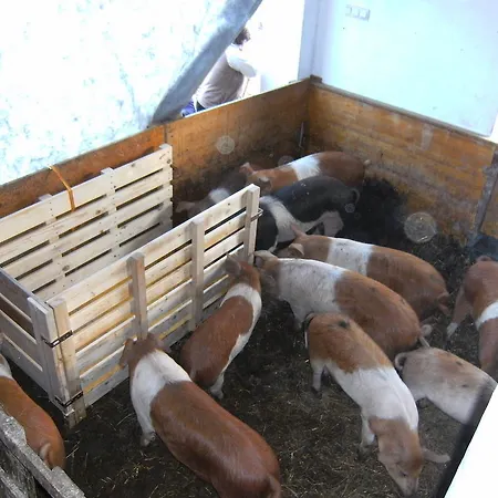 Farm stay Biobauernhof Drei Finken *