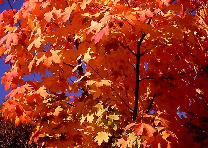 Biobauernhof Drei Finken