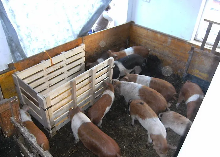 Alloggio per agriturismo Biobauernhof Drei Finken *